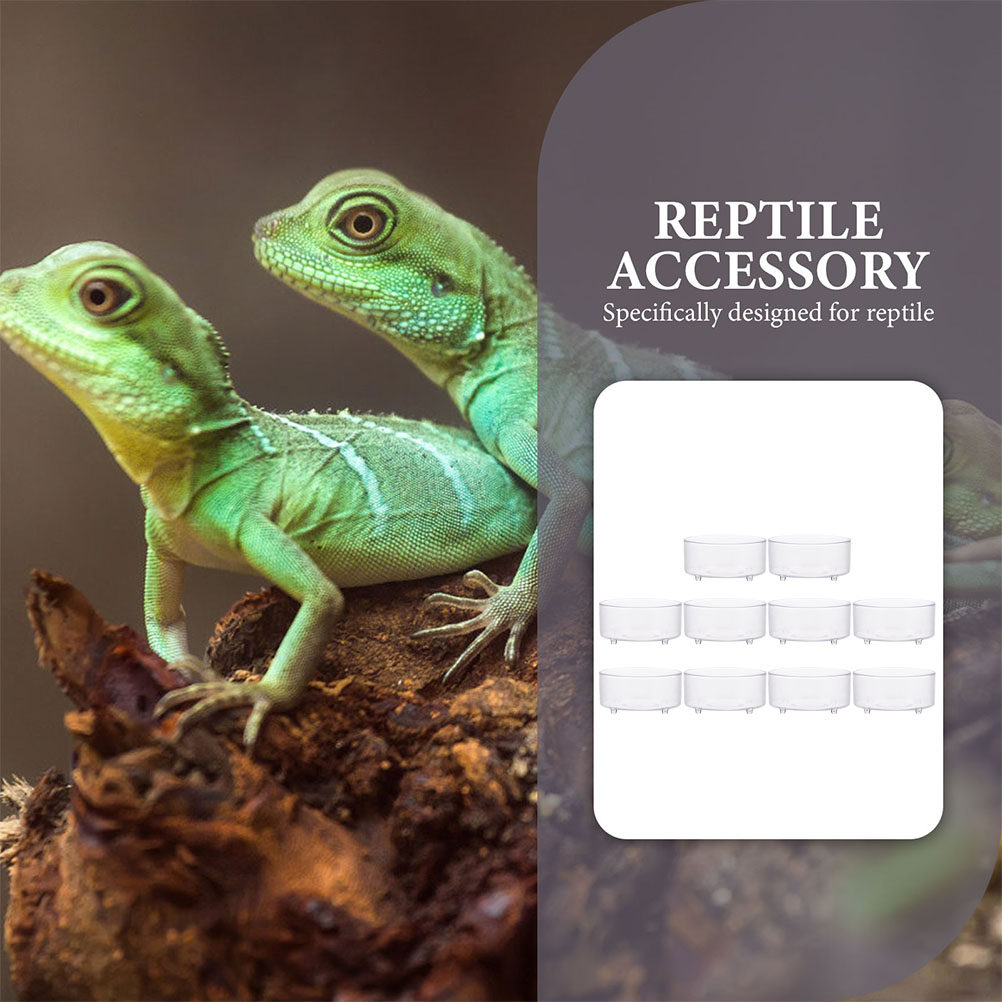 10Pcs Acrylic Reptile Food Dis – Water Dish Reptile recenzja i cena
