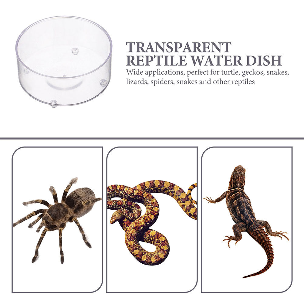 10Pcs Acrylic Reptile Food Dis – Water Dish Reptile recenzja i cena