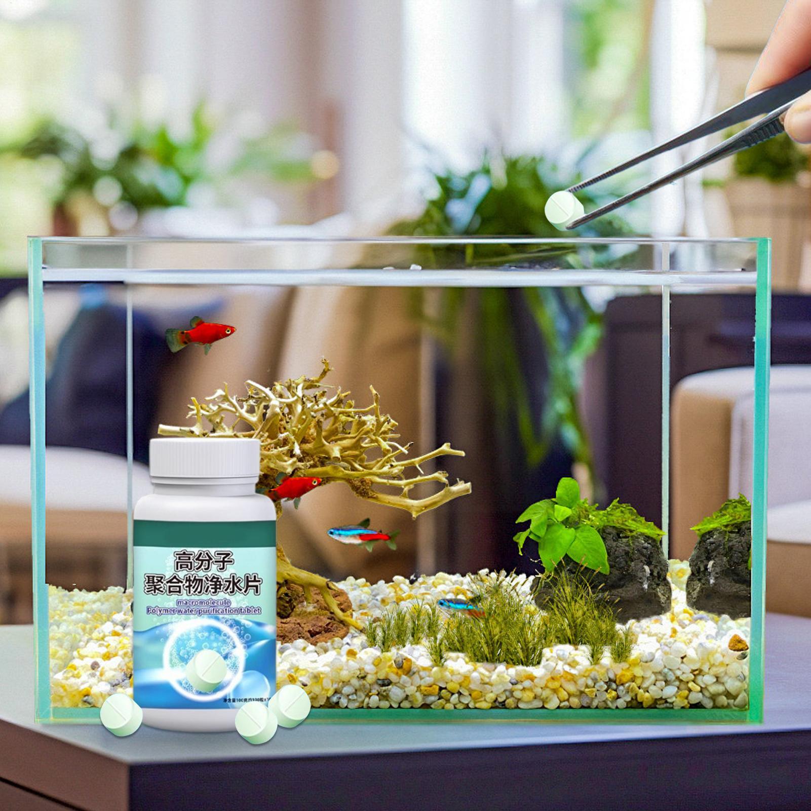 Fish Can Algae Remover Aquariu – Water Dish Reptile recenzja i cena