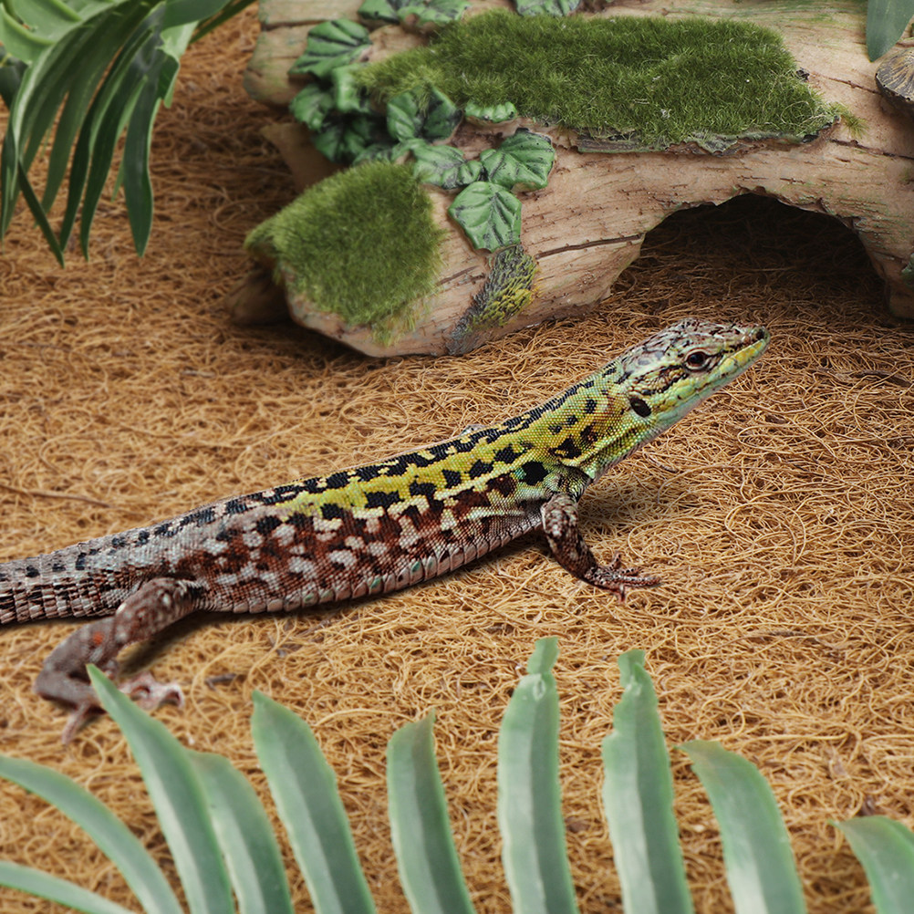 Reptile Carpet Natural Coconut – Substrate Coconut Fiber recenzja i cena