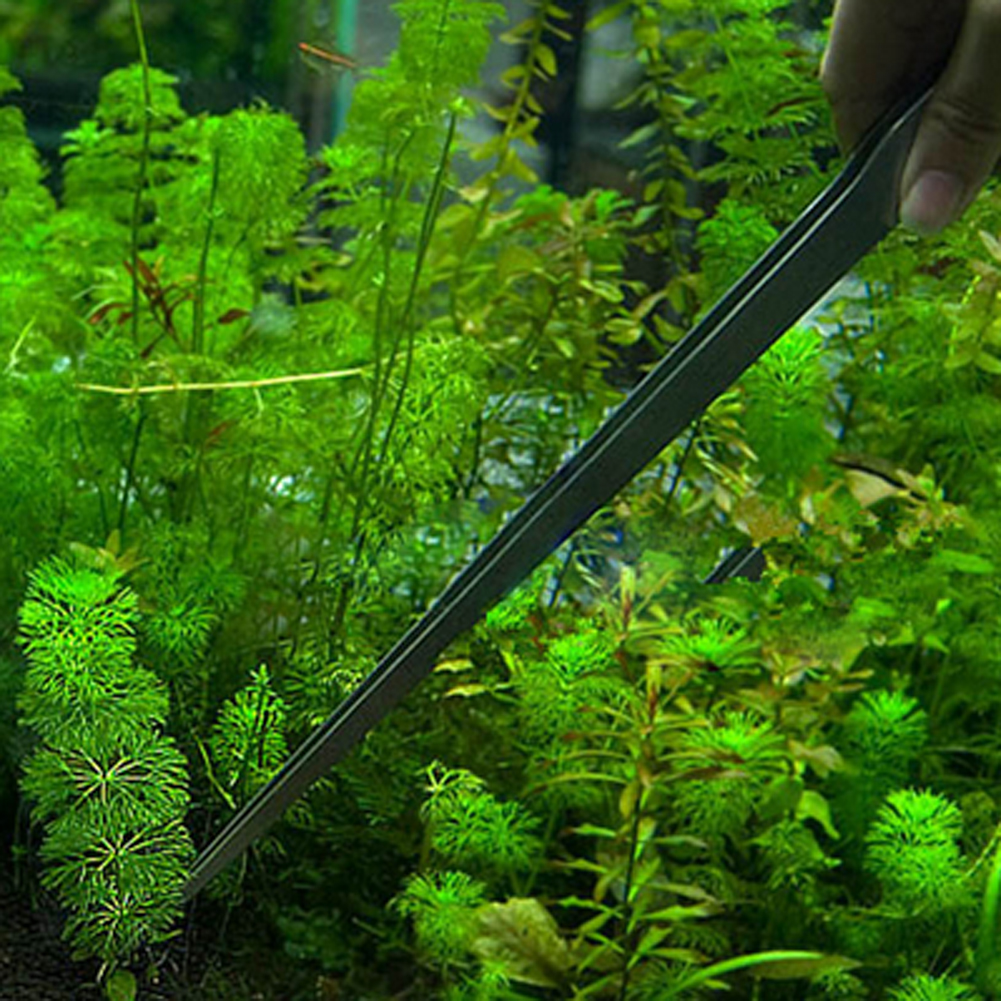 10.5 Inch Aquarium Tweezers St – Feeding Tong Stainless recenzja i cena