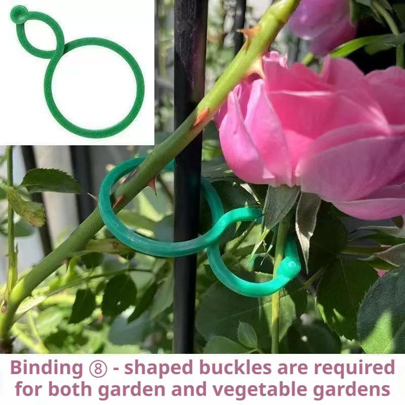 100 Pcs Plant Support Clips He – Vine Climbing Plastic recenzja i cena