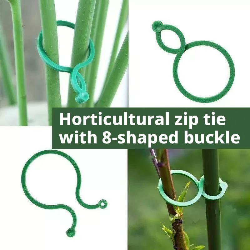 100 Pcs Plant Support Clips He – Vine Climbing Plastic recenzja i cena