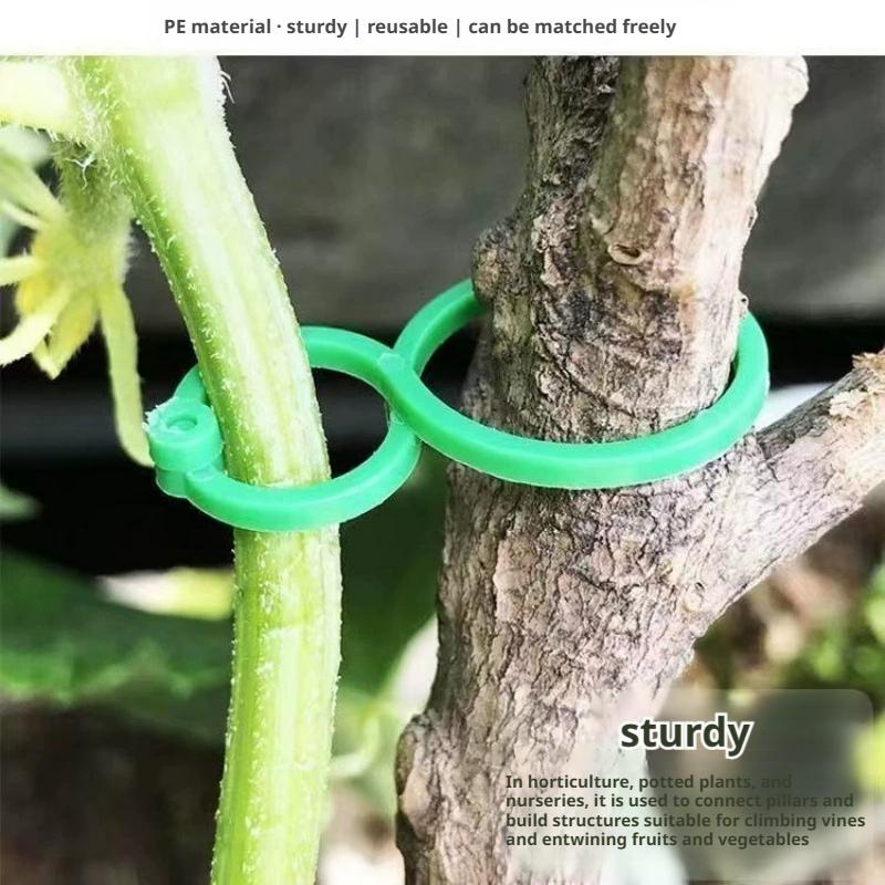 100 Pcs Plant Support Clips He – Vine Climbing Plastic recenzja i cena