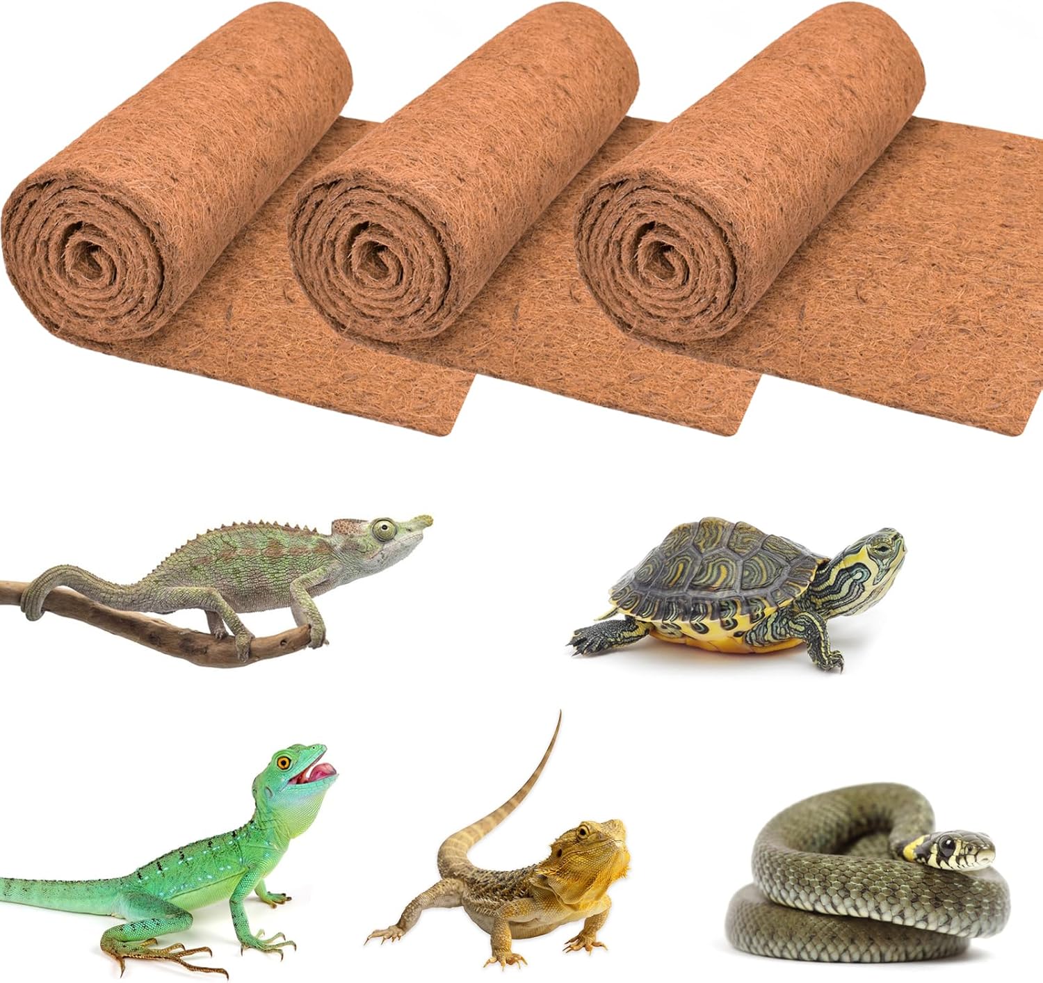 3 Rolls Reptile Carpet, 24x48i – Substrate Coconut Fiber recenzja i cena