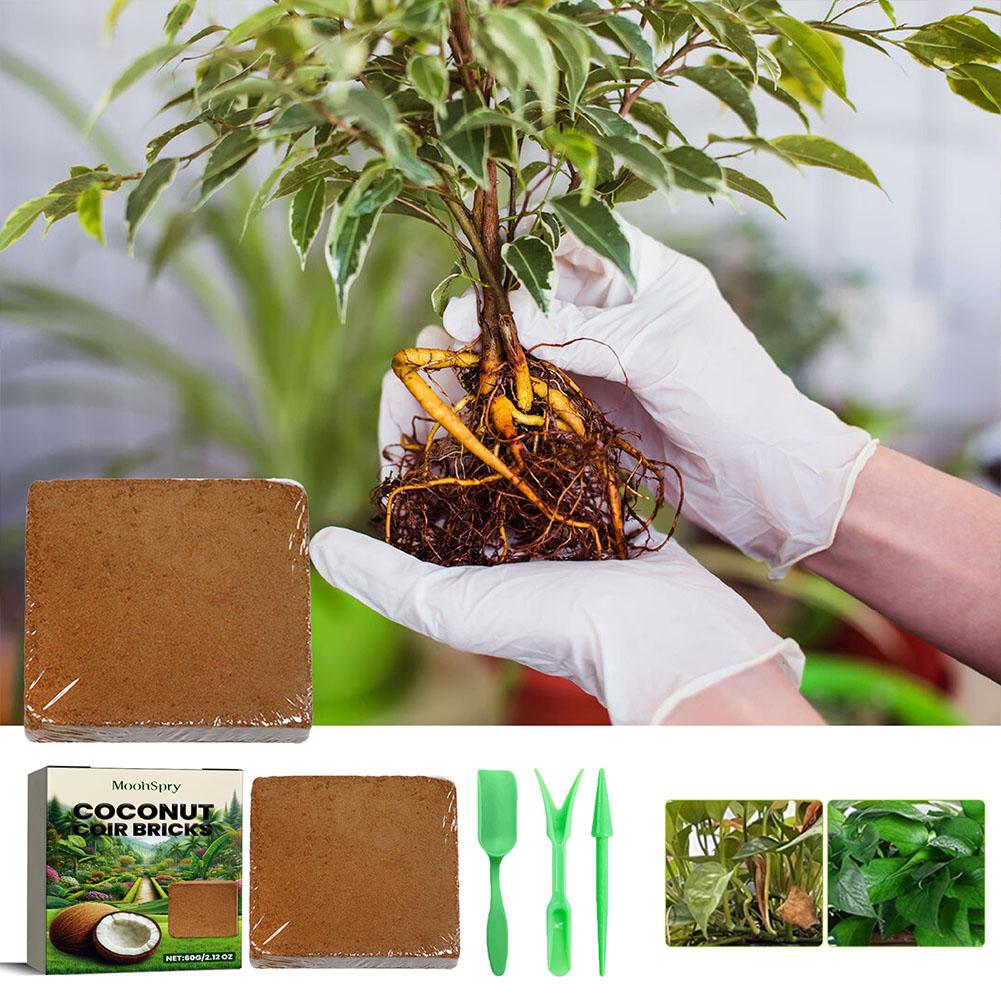 Reptile Coconut Soil Coir Pres – Substrate Coconut Fiber recenzja i cena
