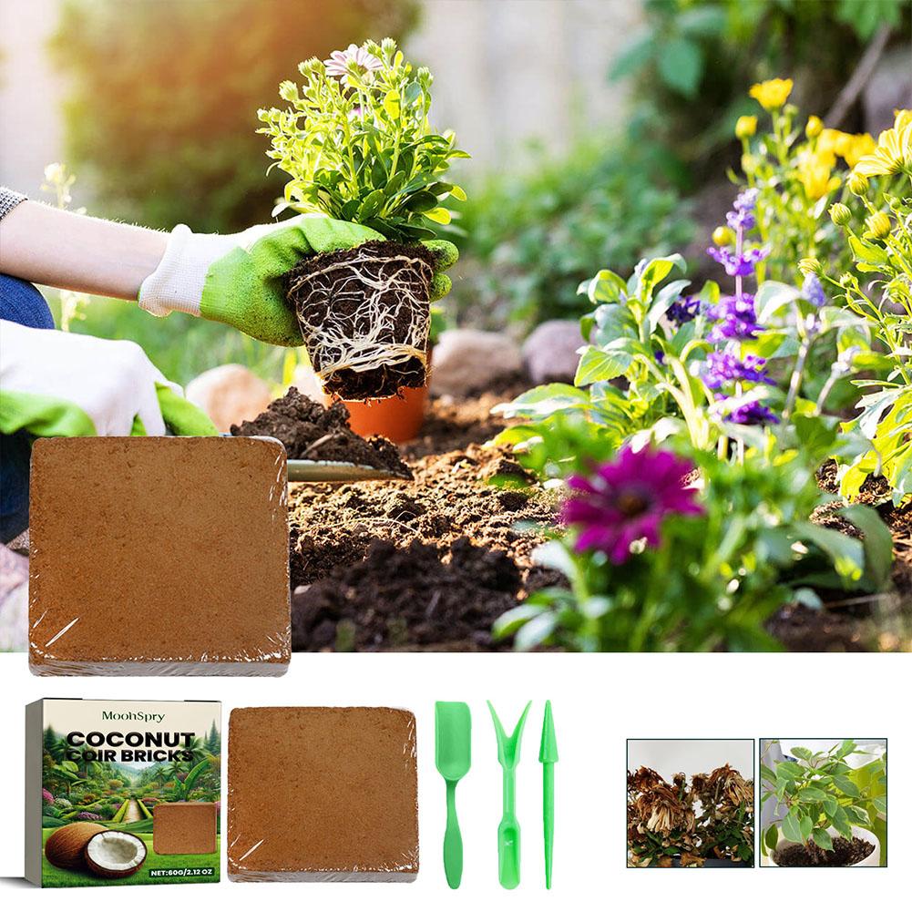 Reptile Coconut Soil Coir Pres – Substrate Coconut Fiber recenzja i cena