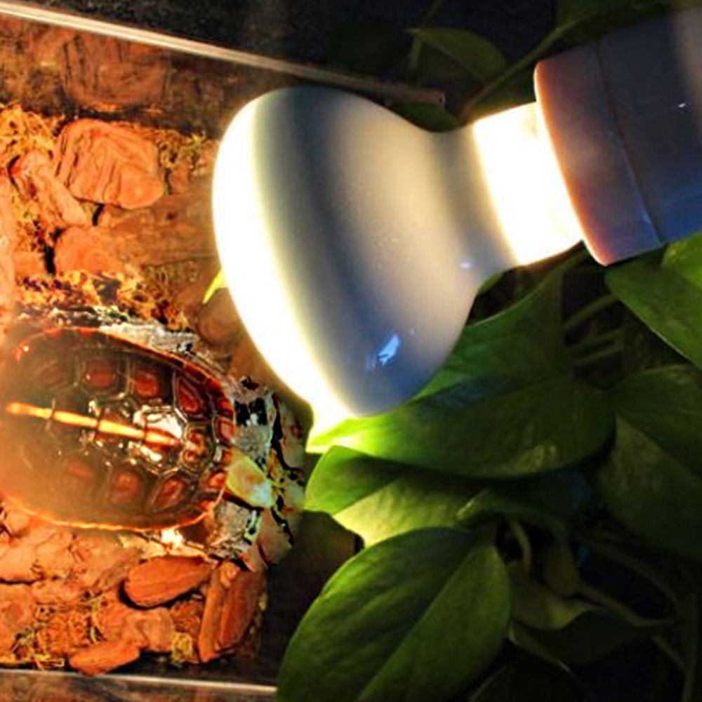 Lizard Heater Temperature Cont – Basking Bulb Halogen recenzja i cena