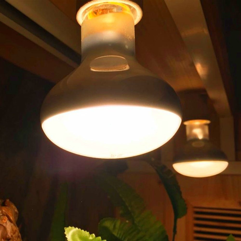 Lizard Heater Temperature Cont – Basking Bulb Halogen recenzja i cena