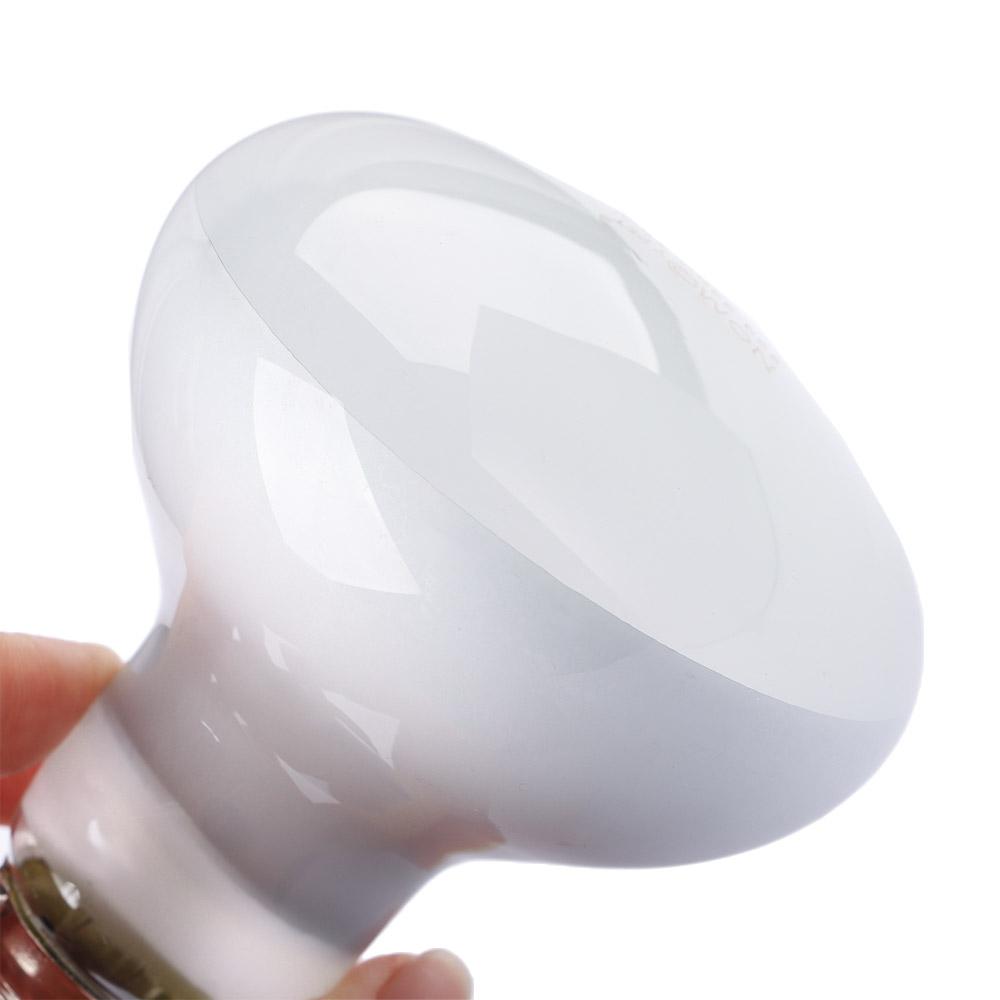 Lizard Heater Temperature Cont – Basking Bulb Halogen recenzja i cena