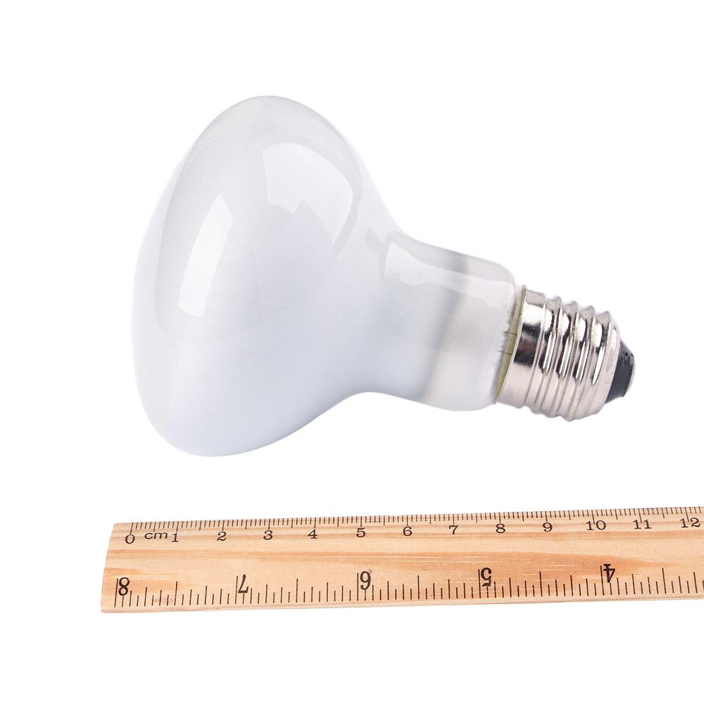 Lizard Heater Temperature Cont – Basking Bulb Halogen recenzja i cena