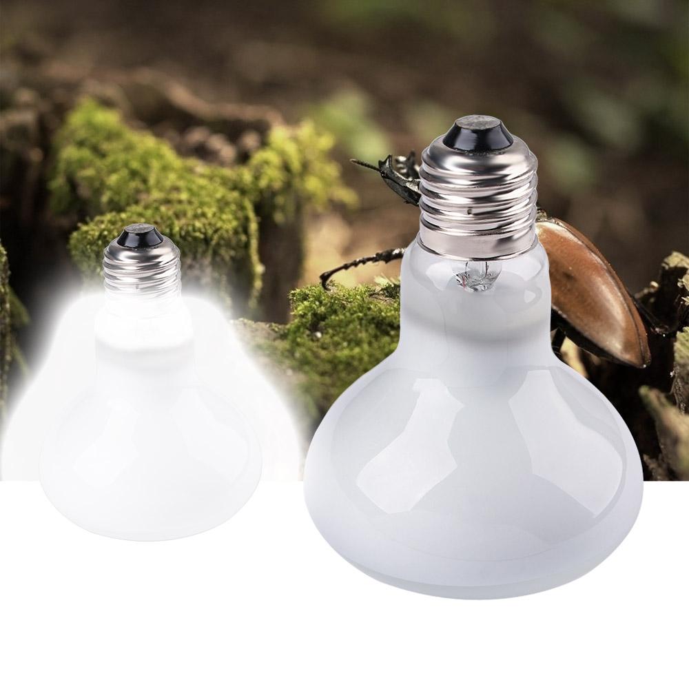 Lizard Temperature Controller  – Basking Bulb Halogen recenzja i cena