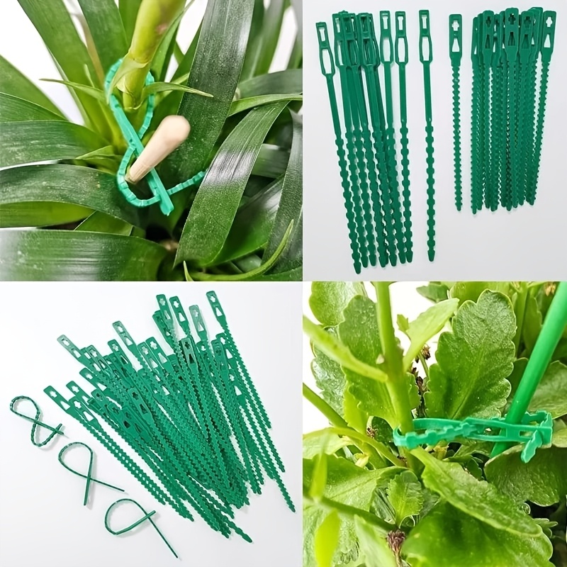 100PCS reusable adjustable pla – Vine Climbing Plastic recenzja i cena