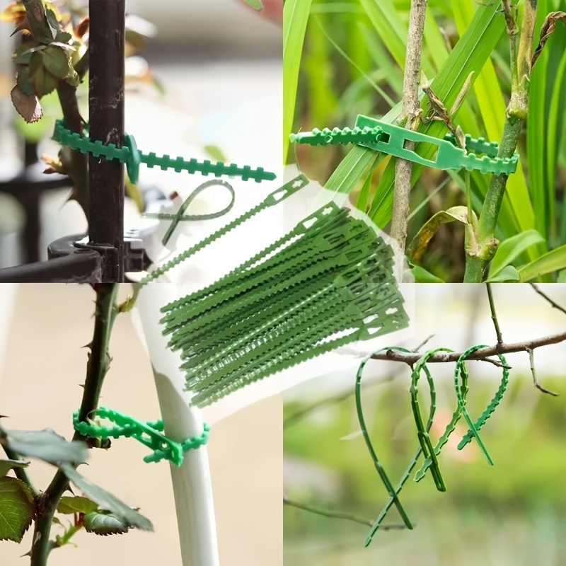 100PCS reusable adjustable pla – Vine Climbing Plastic recenzja i cena