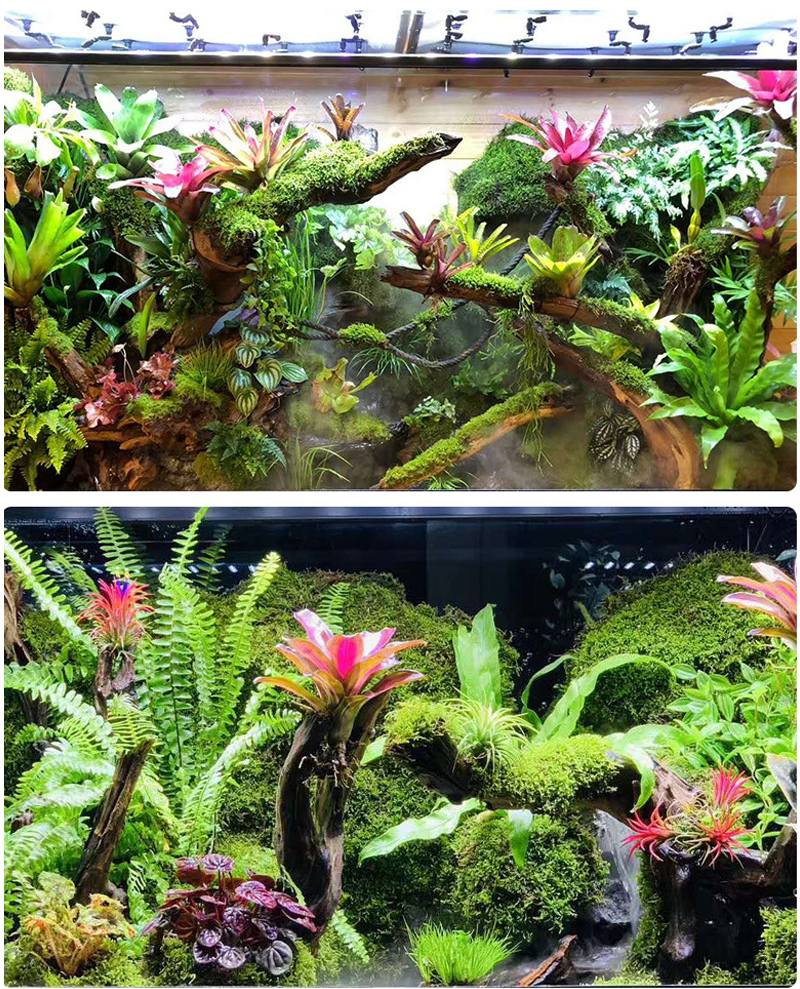 MINI Adjustable Reptile Fogger – Misting Nozzle Reptile recenzja i cena