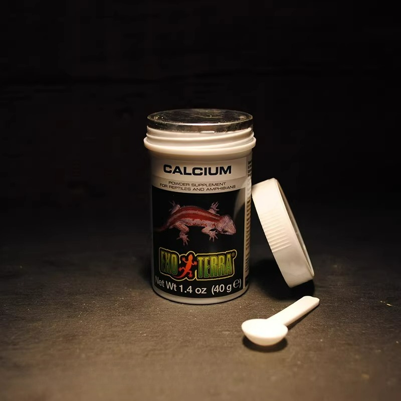 HAGEN Reptile Calcium Powder W – Calcium Powder Reptile recenzja i cena