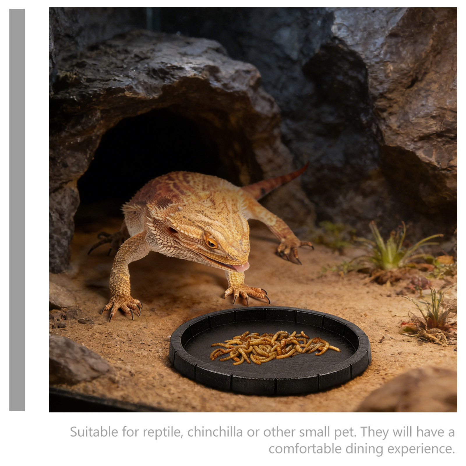 Reptile Feeding Bowl Compact L – Water Dish Reptile recenzja i cena