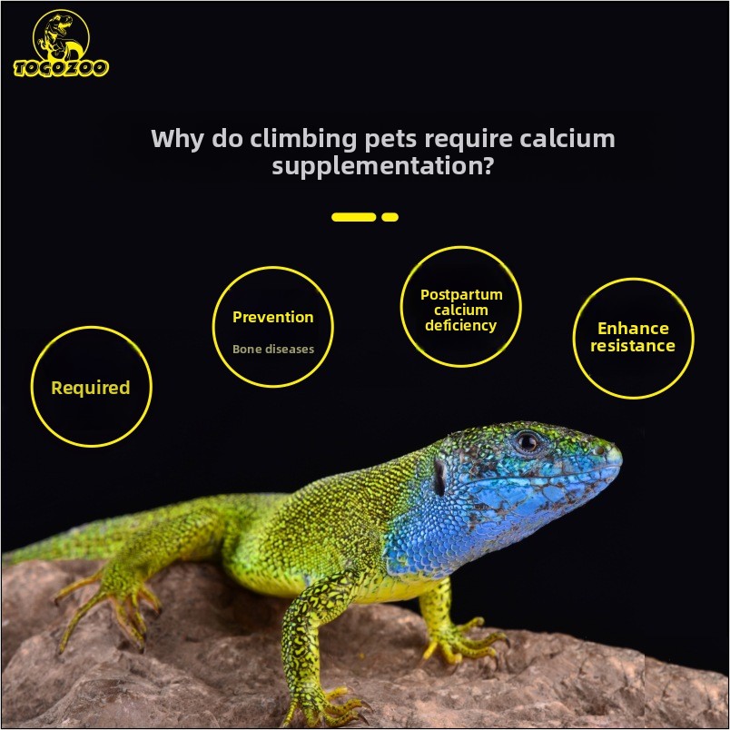 TOGOZOO WILDCAL Reptile Calciu – Calcium Powder Reptile recenzja i cena
