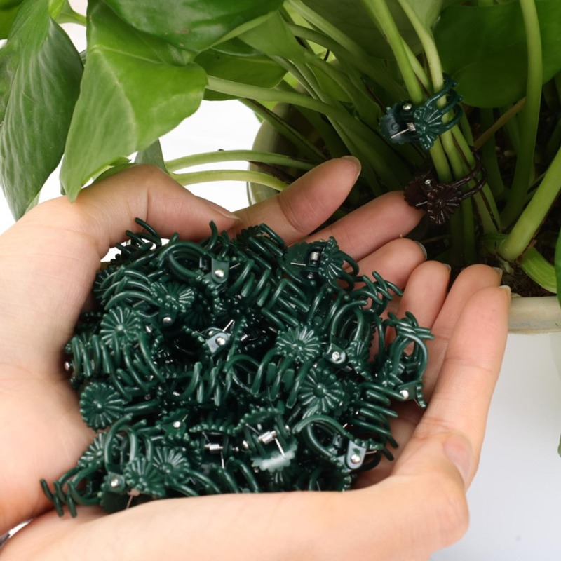 Wholesale Mini Plant Support C – Vine Climbing Plastic recenzja i cena