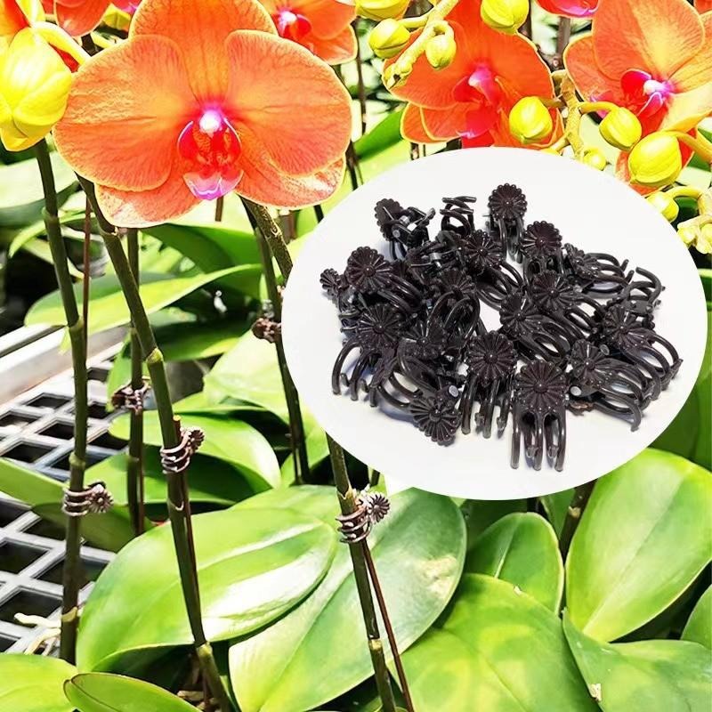 Wholesale Mini Plant Support C – Vine Climbing Plastic recenzja i cena