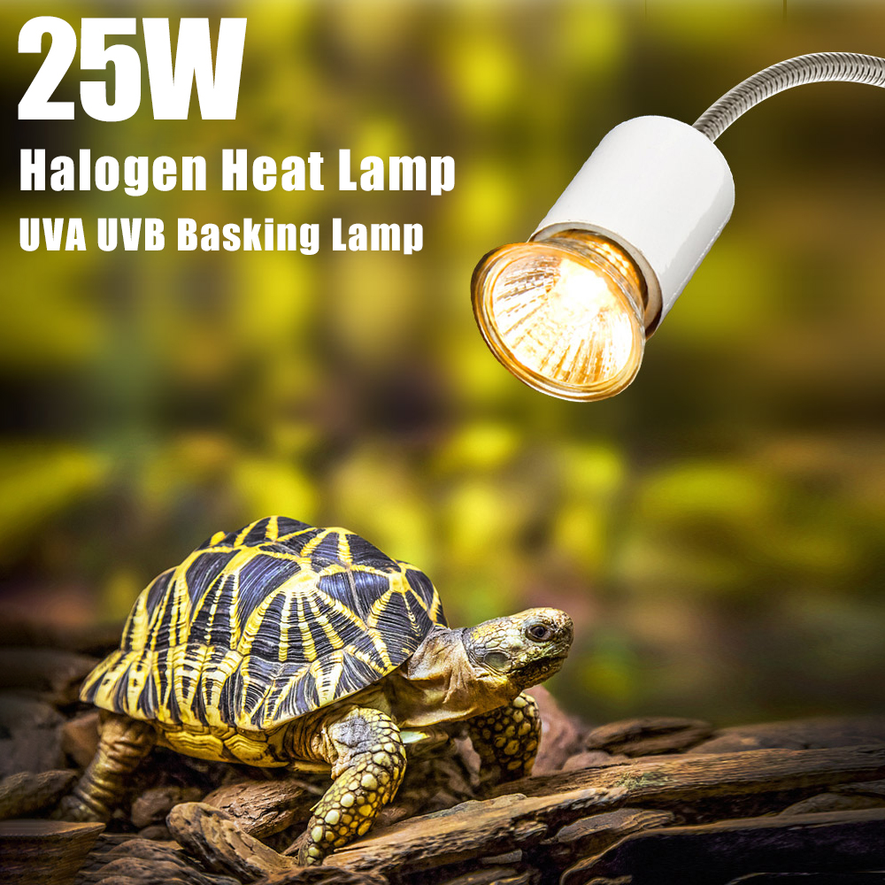 25W Halogen Heat Lamp UVA UVB  – Basking Bulb Halogen recenzja i cena