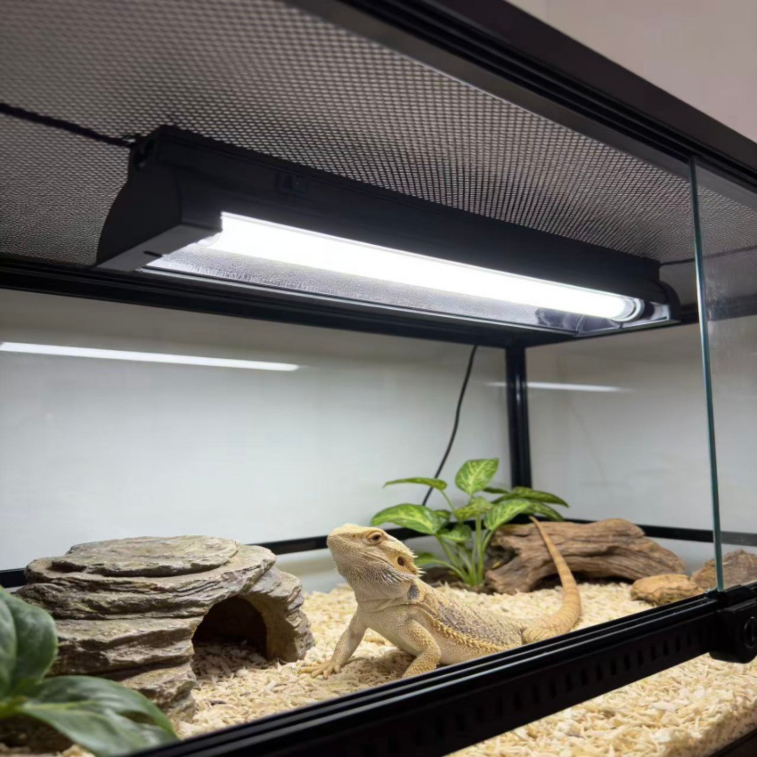 T5 UVB Reptile Light Fixture K – Calcium Powder Reptile recenzja i cena
