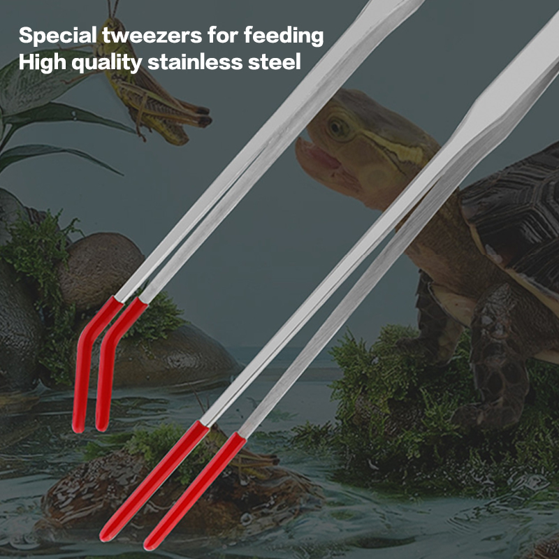 Stainless Steel Reptile With R – Feeding Tong Stainless recenzja i cena