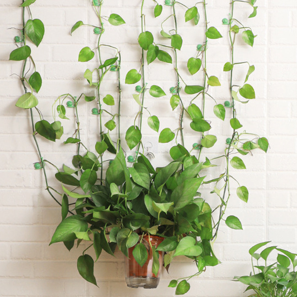 20Pcs Plant Climbing Wall Clip – Vine Climbing Plastic recenzja i cena