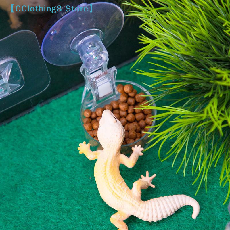 1Pcs Reptile Water Food Bowl S – Water Dish Reptile recenzja i cena