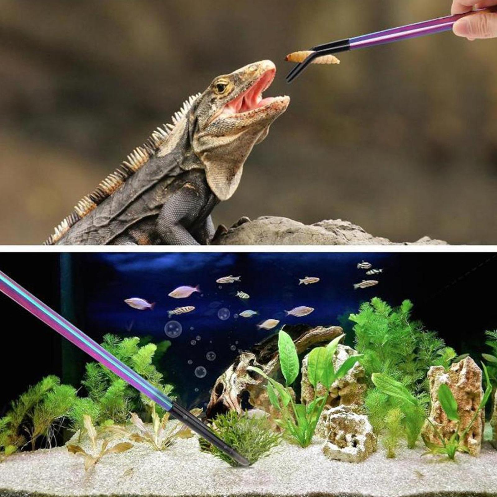 Aquarium Tweezers Reptile Feed – Feeding Tong Stainless recenzja i cena
