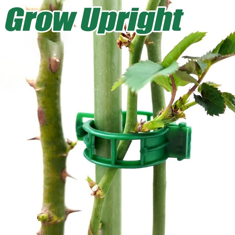 10-500Pcs Garden Plant Support – Vine Climbing Plastic recenzja i cena