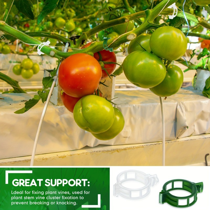 10-500Pcs Garden Plant Support – Vine Climbing Plastic recenzja i cena