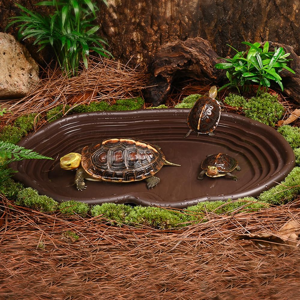 Reptile Bathing Dish Amphibian – Water Dish Reptile recenzja i cena