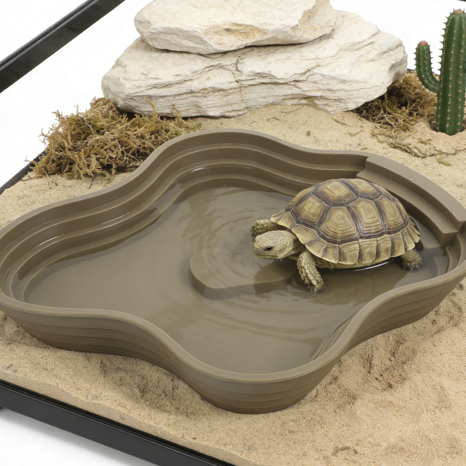 Large Turtle Reptile Bathing P – Water Dish Reptile recenzja i cena
