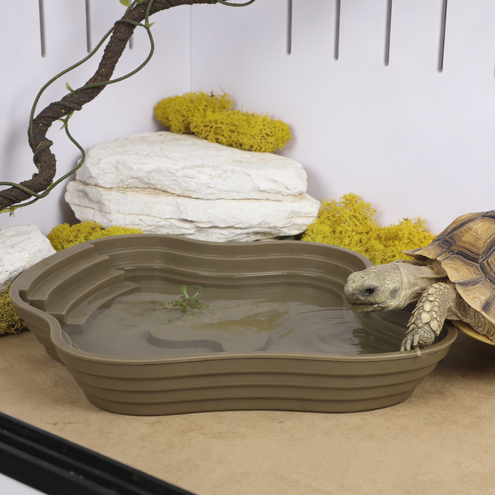 Large Turtle Reptile Bathing P – Water Dish Reptile recenzja i cena