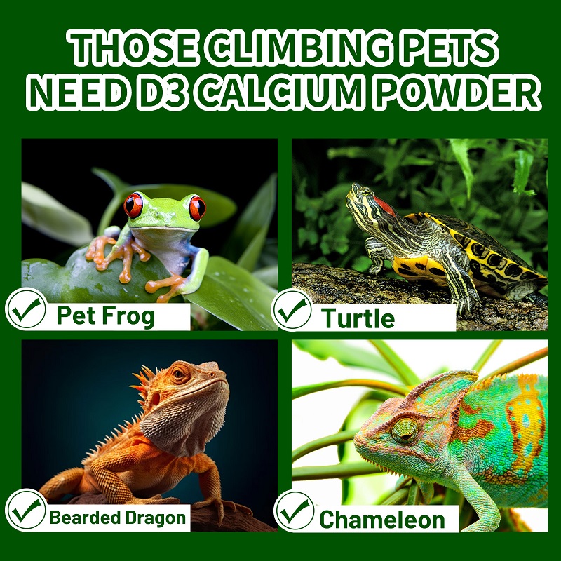 Crawling Pet Vitamin D3 Calciu – Calcium Powder Reptile recenzja i cena