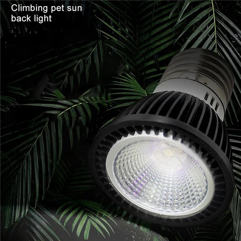 A03F-5X 110V Reptile UVB Light – Calcium Powder Reptile recenzja i cena