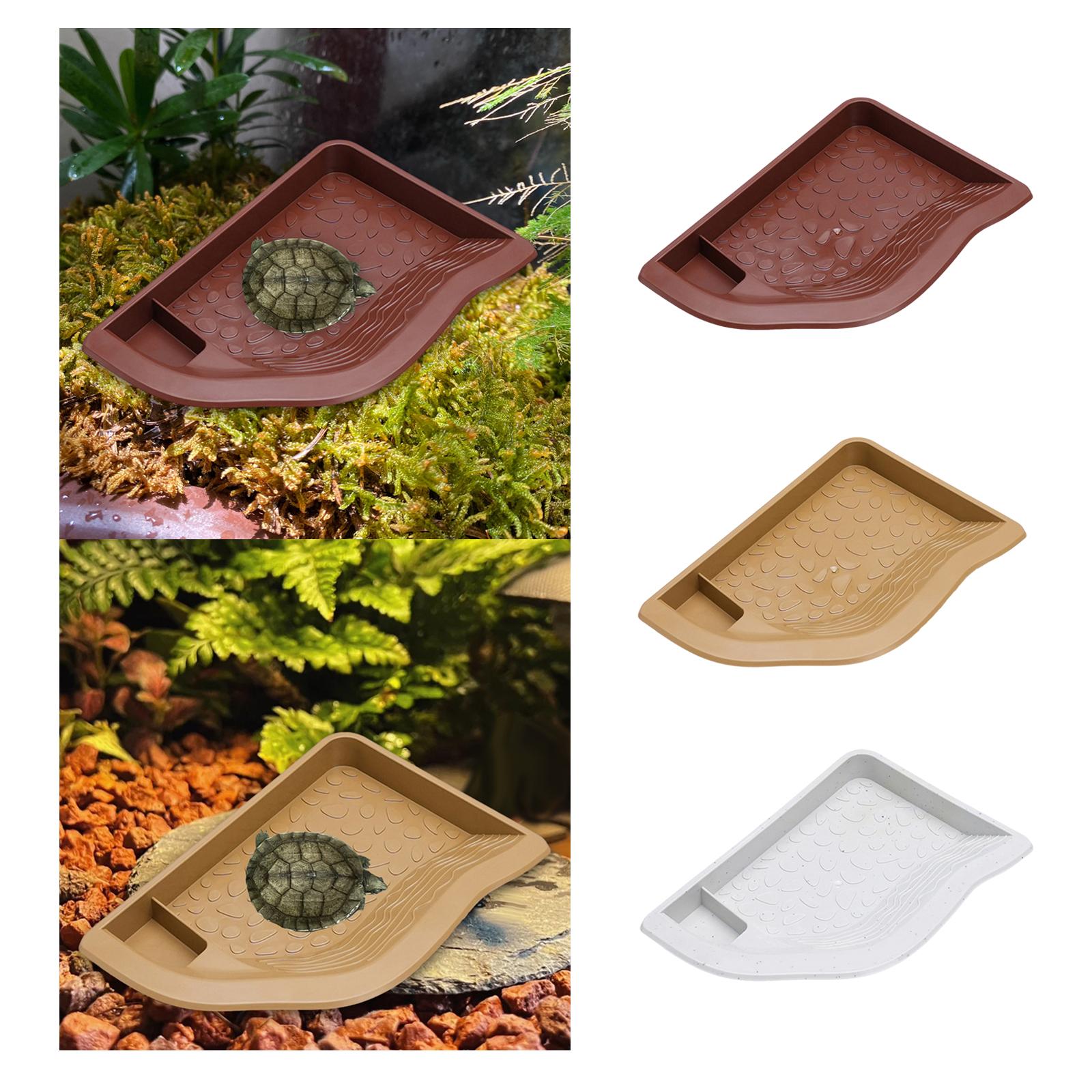 Reptile Pool Water Dish, Torto – Water Dish Reptile recenzja i cena