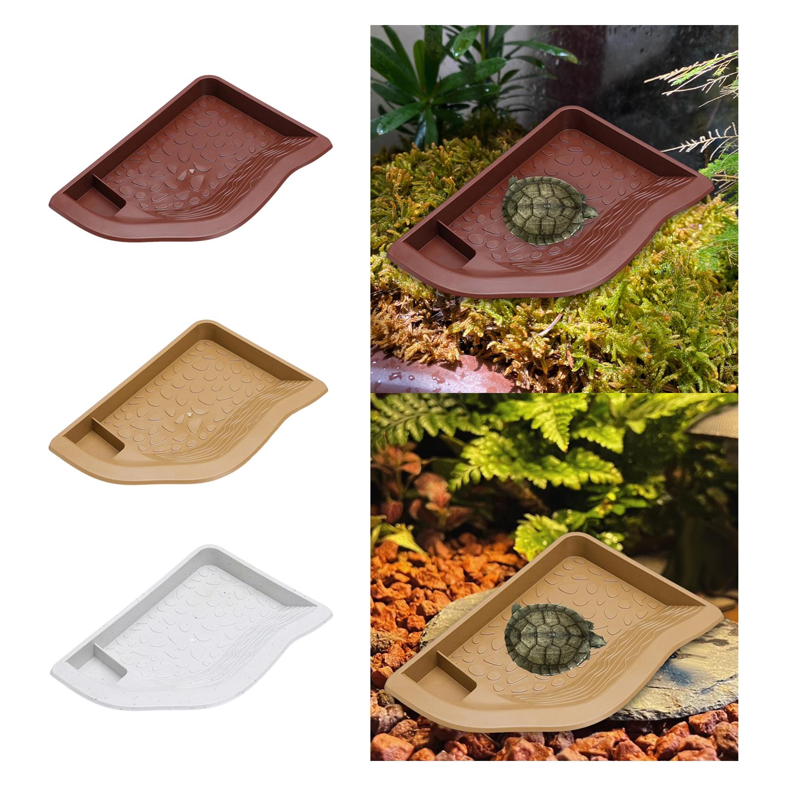 Reptile Pool Water Dish, Torto – Water Dish Reptile recenzja i cena