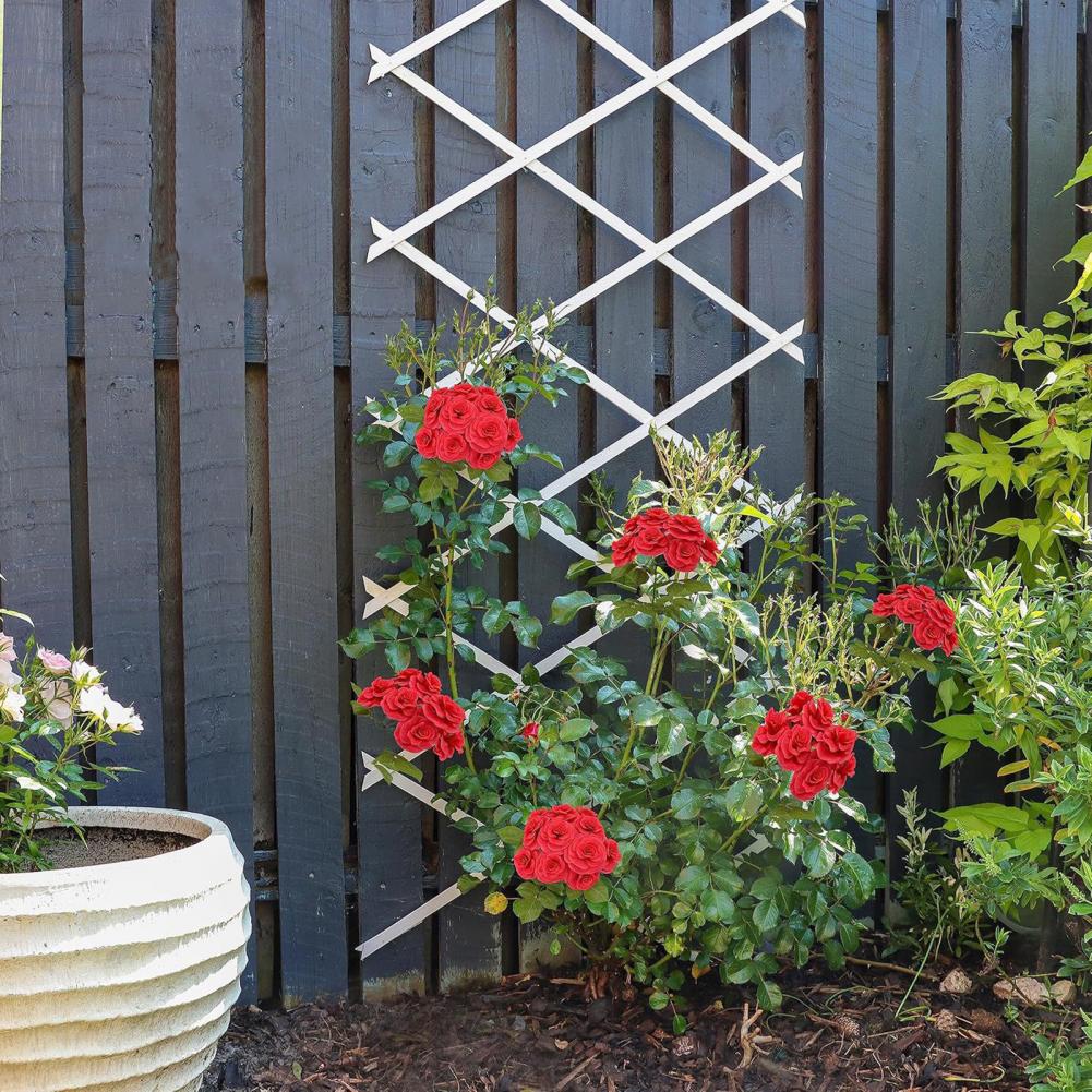 Expandable Garden Trellis 70 x – Vine Climbing Plastic recenzja i cena