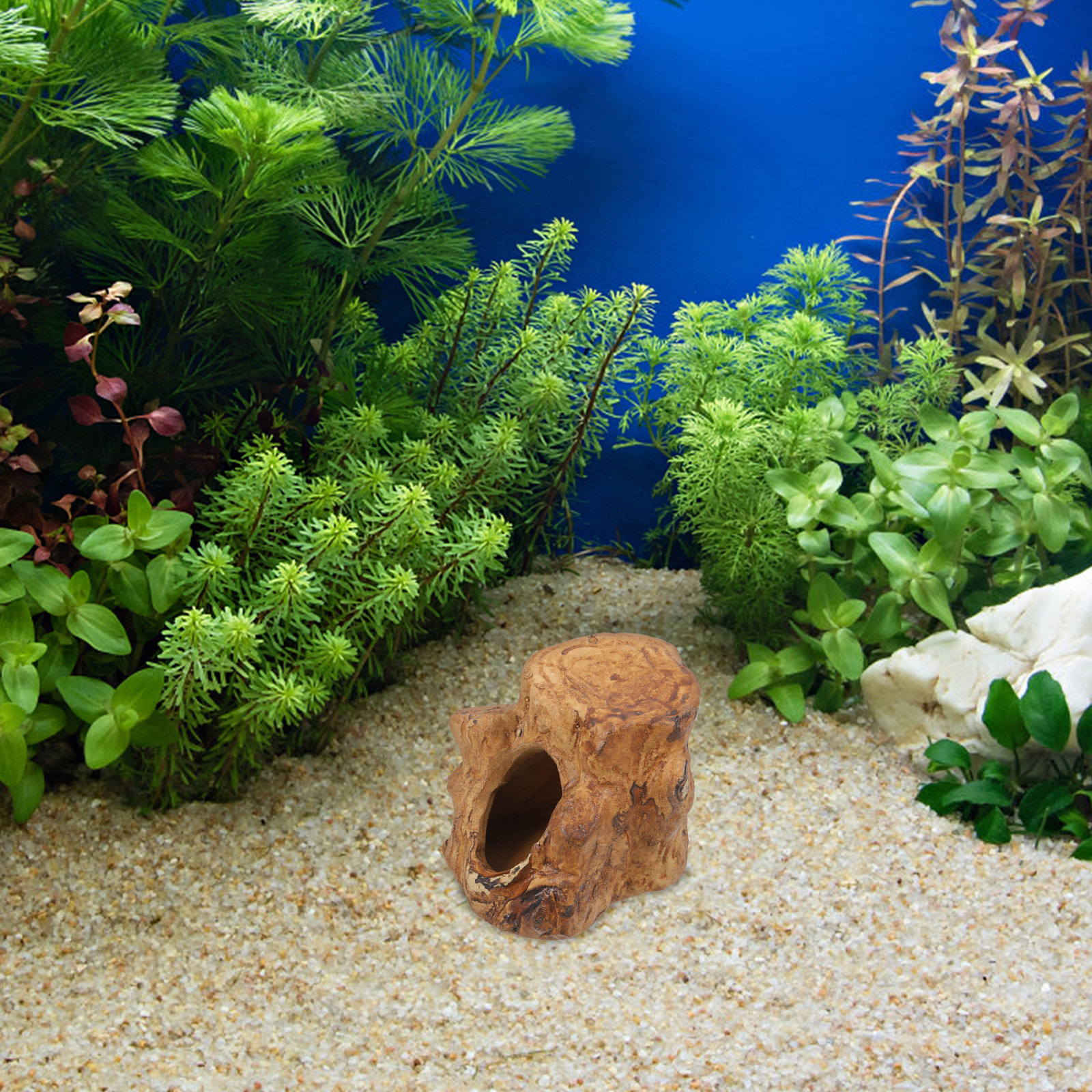 Pleco Caves for Aquarium Fish  – Hide Cave Ceramic recenzja i cena