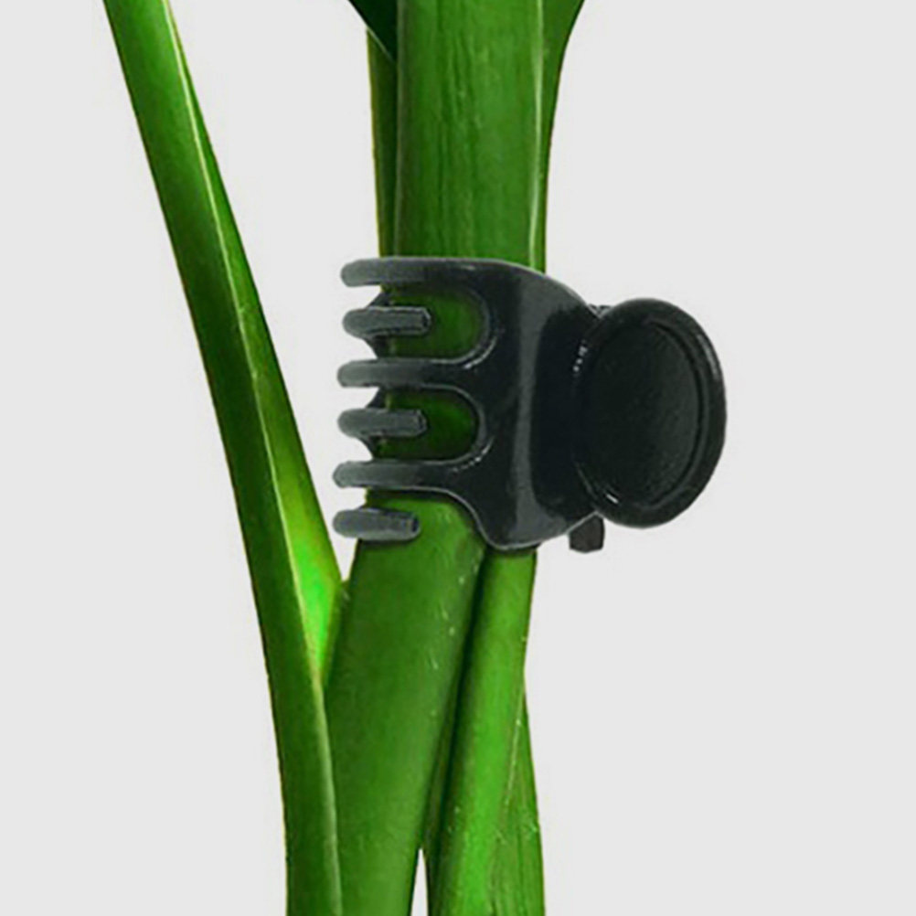 60Pcs Plastic Plant Clips Gard – Vine Climbing Plastic recenzja i cena