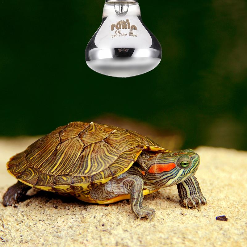Pet Heating Lamp E27 Day Night – Ceramic Heat Emitter recenzja i cena