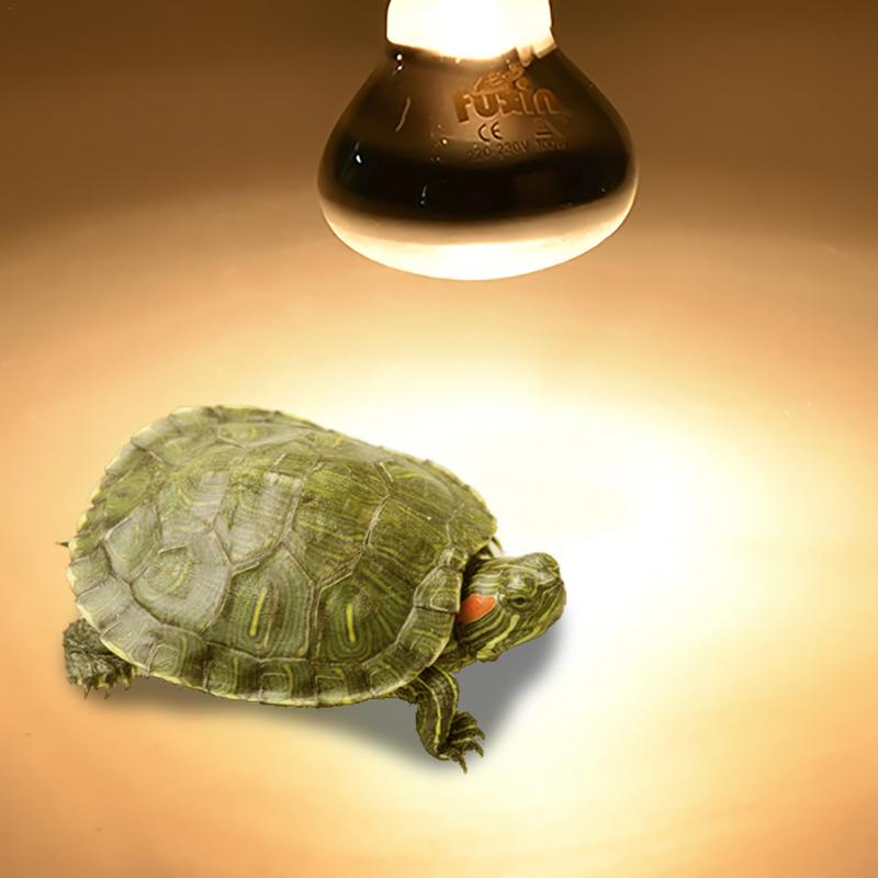 Pet Heating Lamp E27 Day Night – Ceramic Heat Emitter recenzja i cena