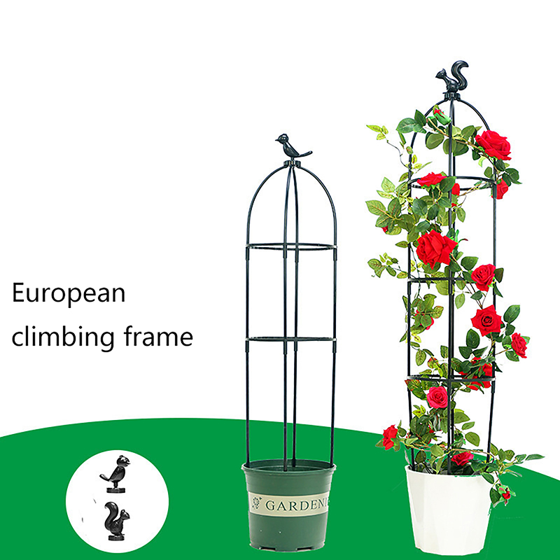 C 1Set Climbing Plant Trellis  – Vine Climbing Plastic recenzja i cena