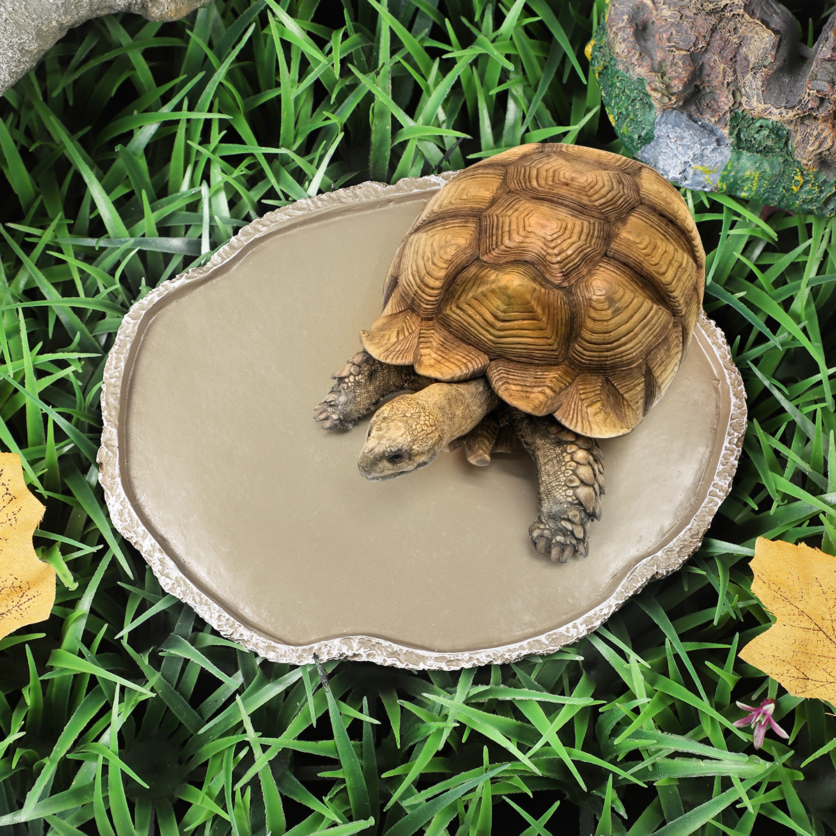 Pets Feeding Plate Reptile Fee – Water Dish Reptile recenzja i cena
