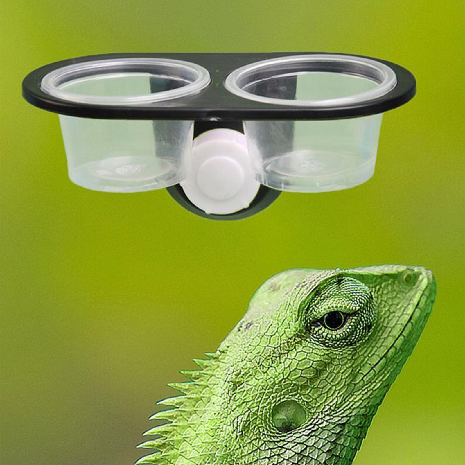 Gecko Food Dish Gecko Feeding  – Water Dish Reptile recenzja i cena