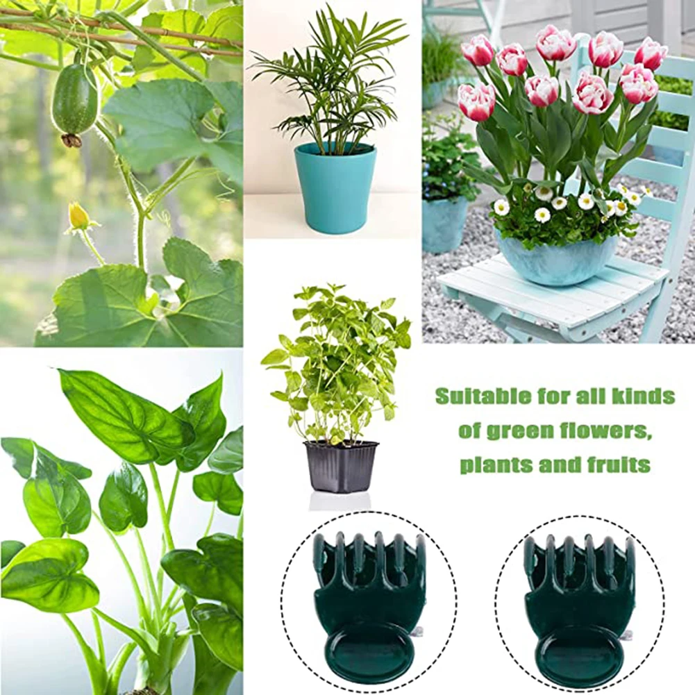 Phalaenopsis Orchid Support Cl – Vine Climbing Plastic recenzja i cena