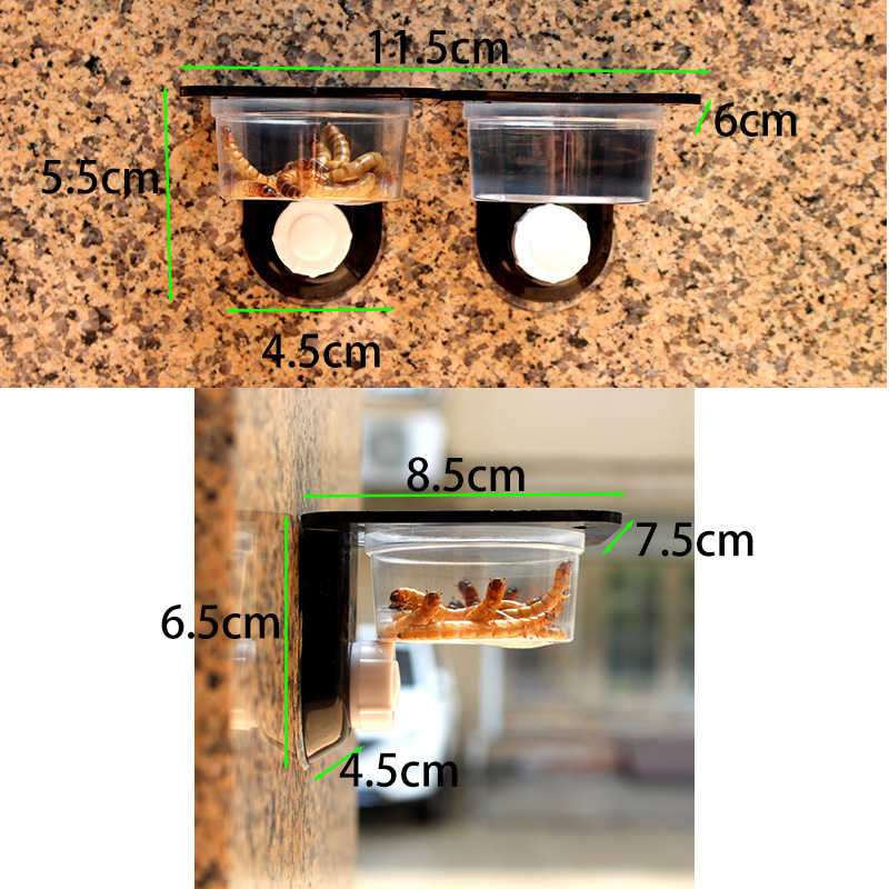 Reptile Tank Accessories Insec – Water Dish Reptile recenzja i cena