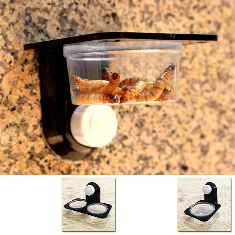 Reptile Tank Accessories Insec – Water Dish Reptile recenzja i cena